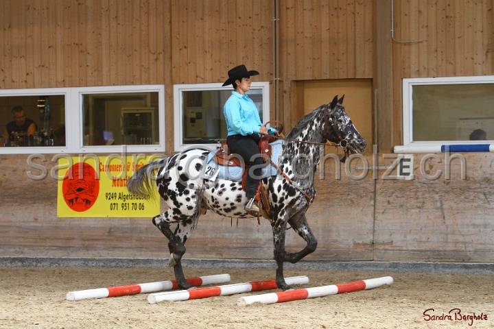 26-ApHC GT_069.jpg
